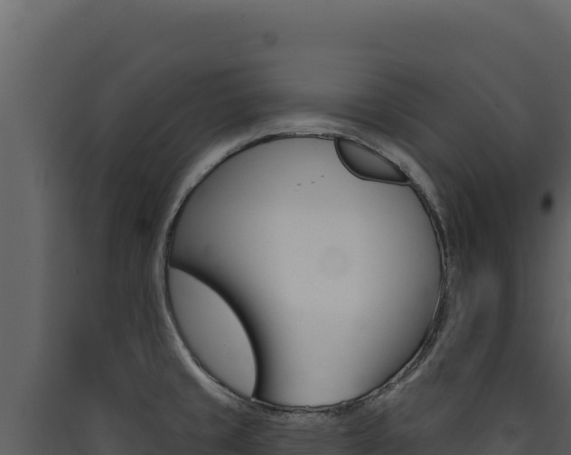 X0000090441429200707131020