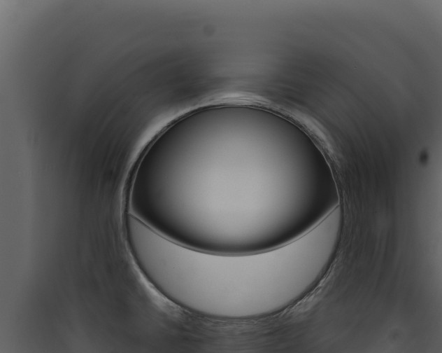 X0000090441430200707131020