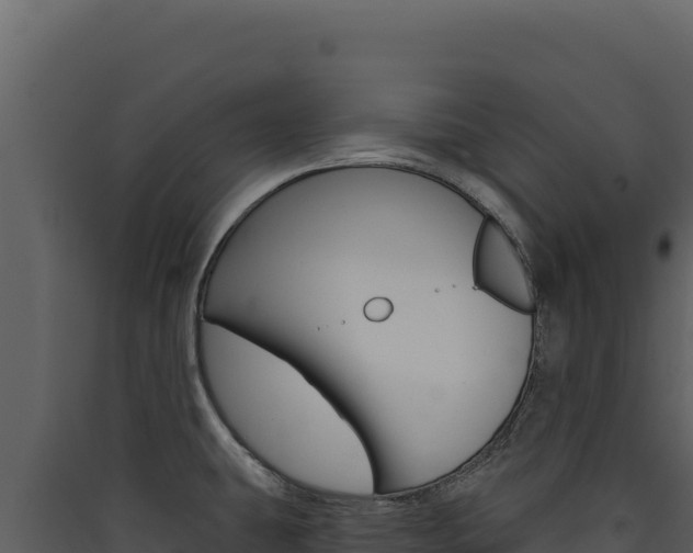 X0000090441431200707131020