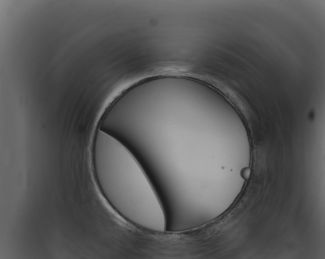 X0000090441432200707131020