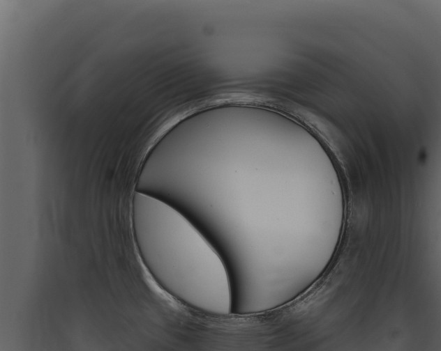 X0000090441433200707131020