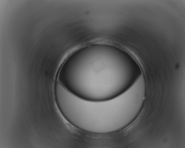 X0000090441434200707131020