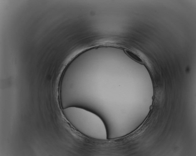 X0000090441435200707131020