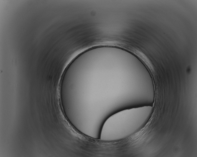 X0000090441436200707131020