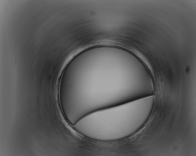 X0000090441437200707131020