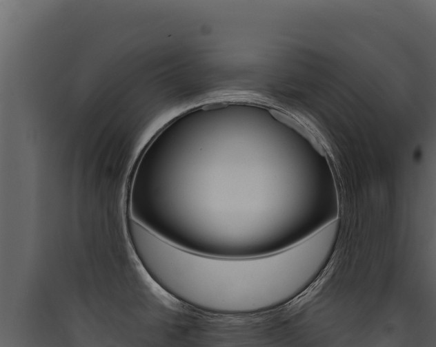 X0000090441438200707131020