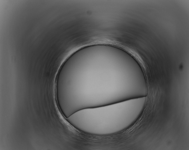 X0000090441439200707131020