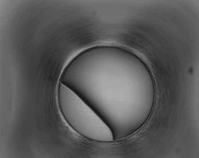 X0000090441440200707131020