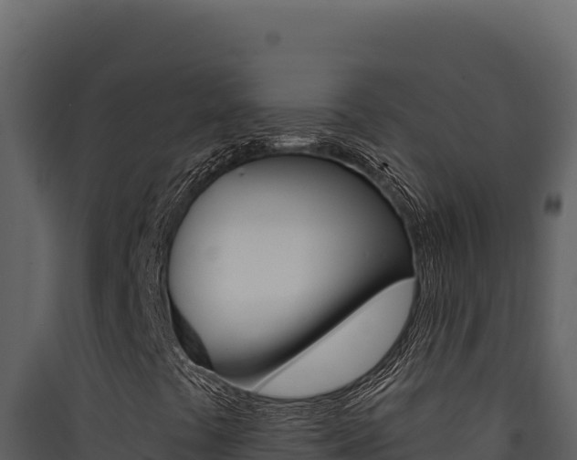 X0000090441441200707131020