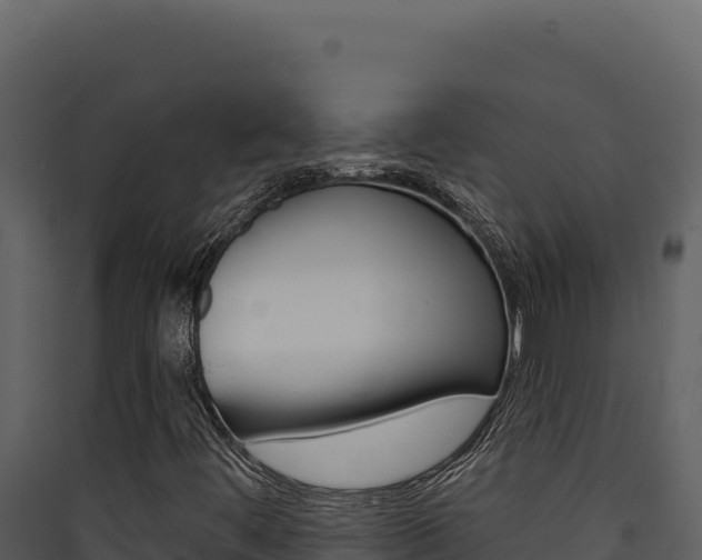 X0000090441444200707131020