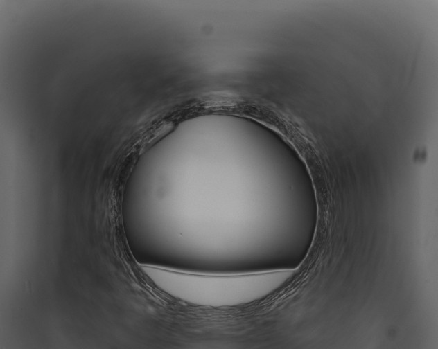 X0000090441445200707131020