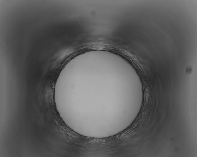 X0000090441446200707131020