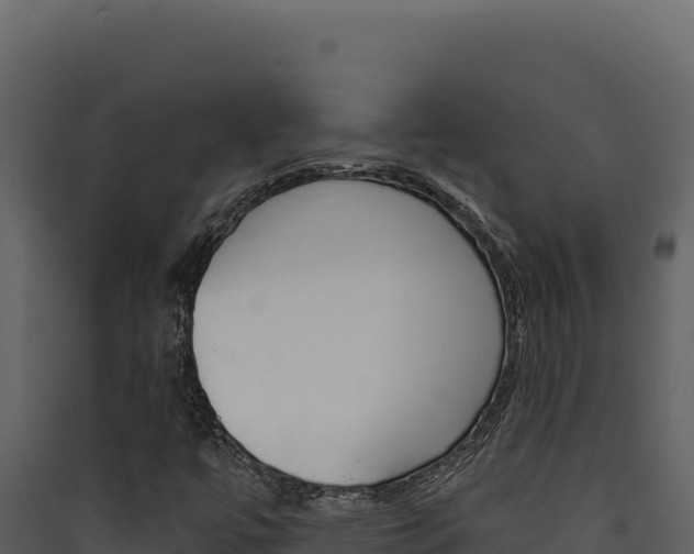 X0000090441447200707131020