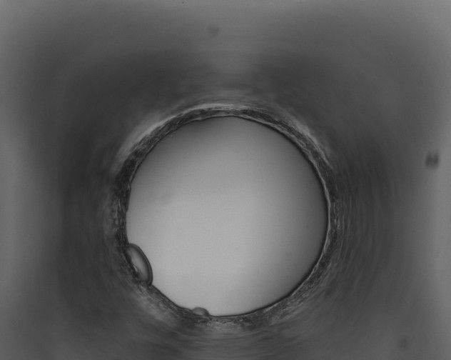 X0000090441448200707131020