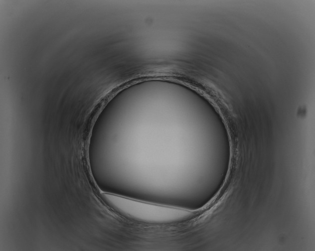 X0000090441449200707131020