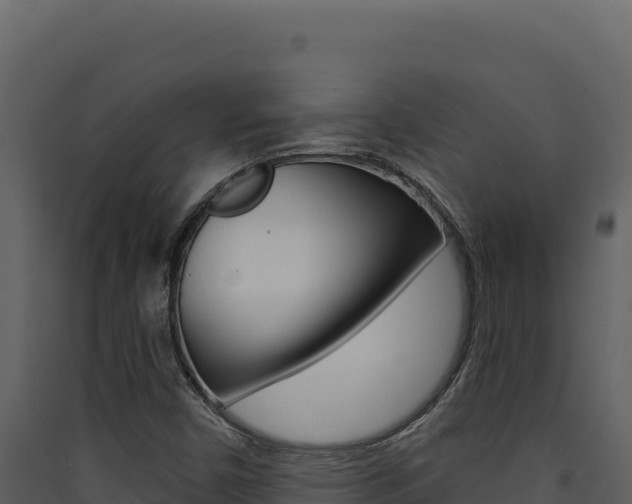 X0000090441450200707131020