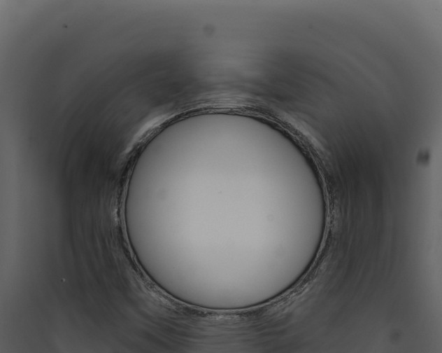 X0000090441451200707131020