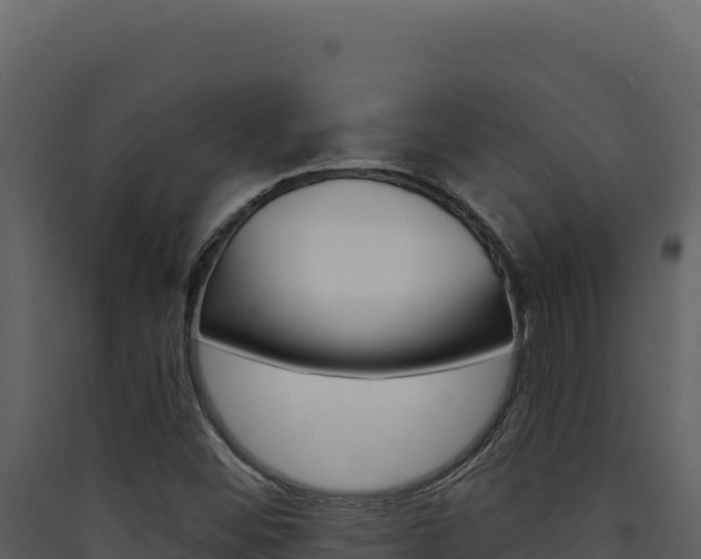 X0000090441452200707131020