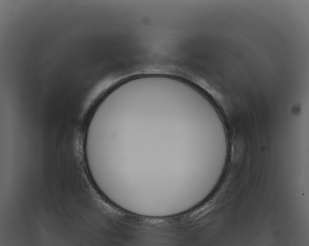X0000090441454200707131020