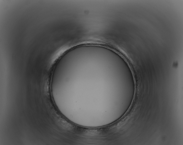 X0000090441455200707131020