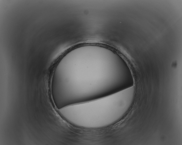 X0000090441456200707131020
