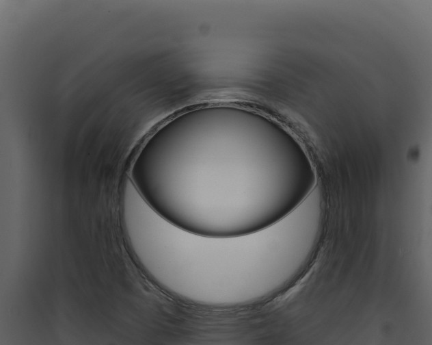 X0000090441457200707131020