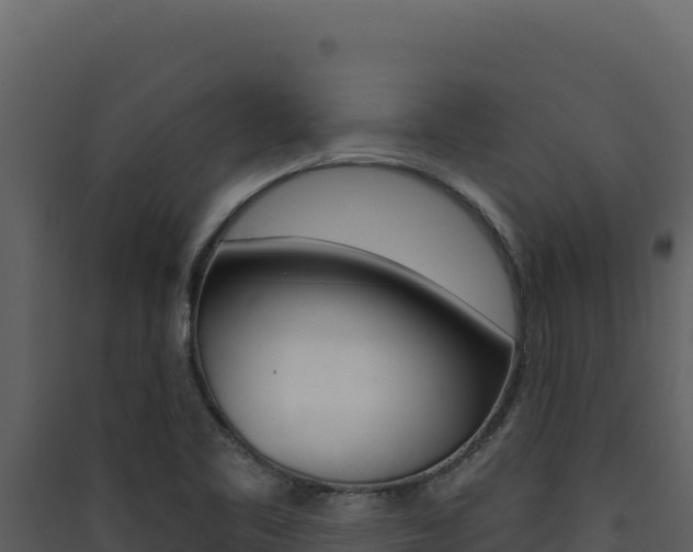 X0000090441461200707131020