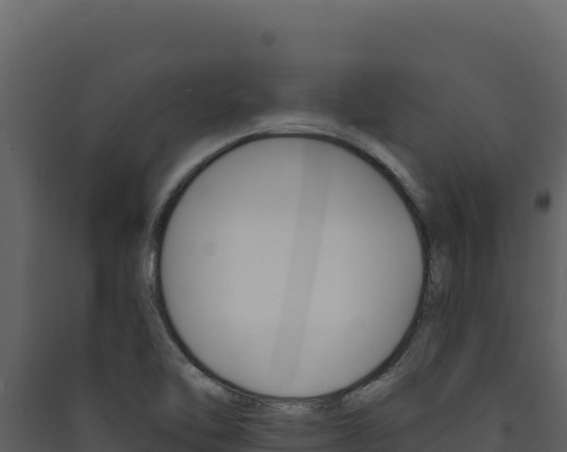 X0000090441462200707131020