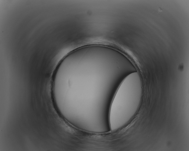 X0000090441463200707131020