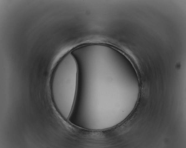 X0000090441464200707131020
