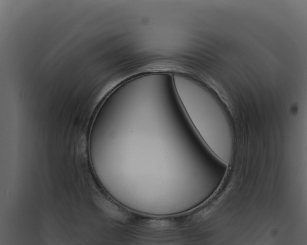 X0000090441465200707131019