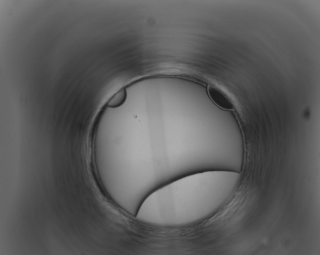 X0000090441467200707131019