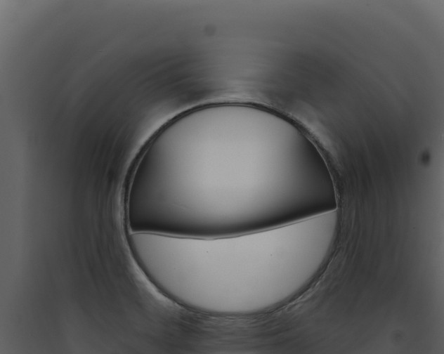 X0000090441468200707131019