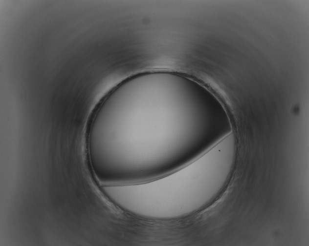 X0000090441469200707131019