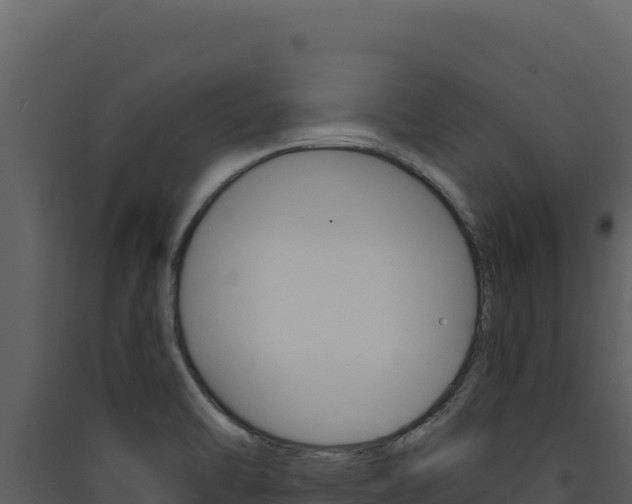 X0000090441470200707131019