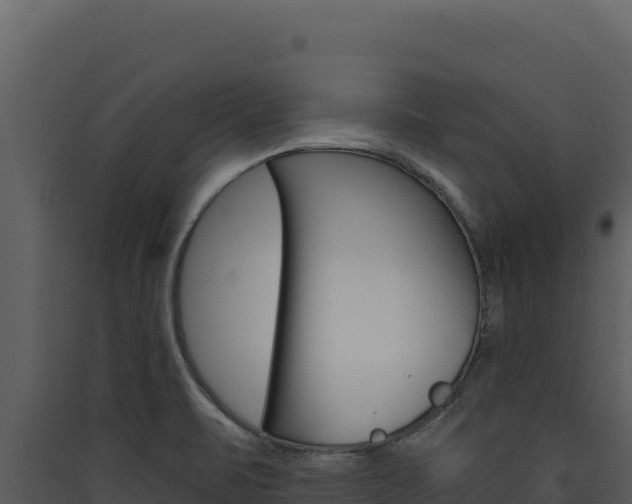 X0000090441471200707131019
