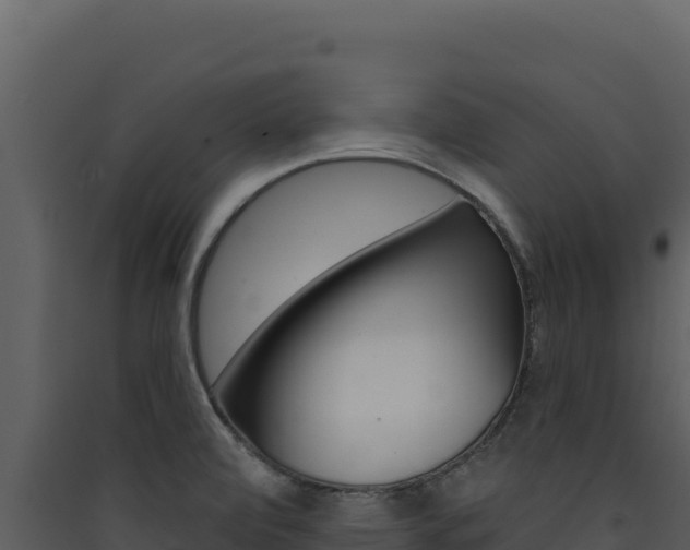 X0000090441472200707131019