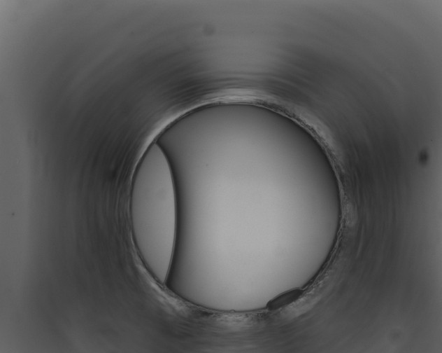 X0000090441473200707131019