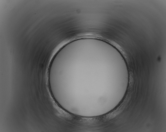 X0000090441474200707131019