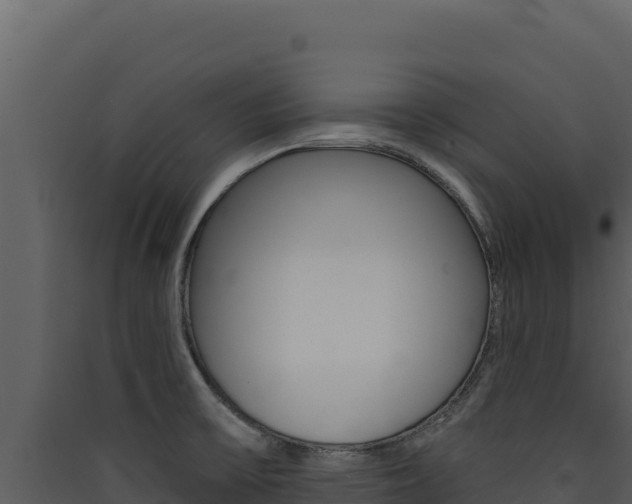 X0000090441475200707131019