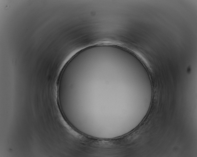 X0000090441476200707131019
