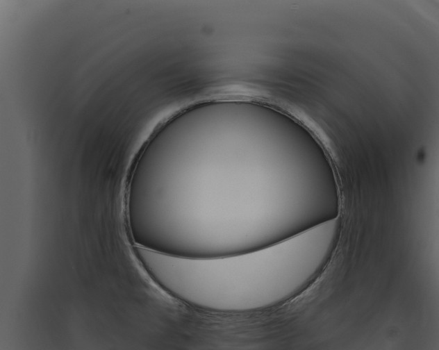 X0000090441477200707131019