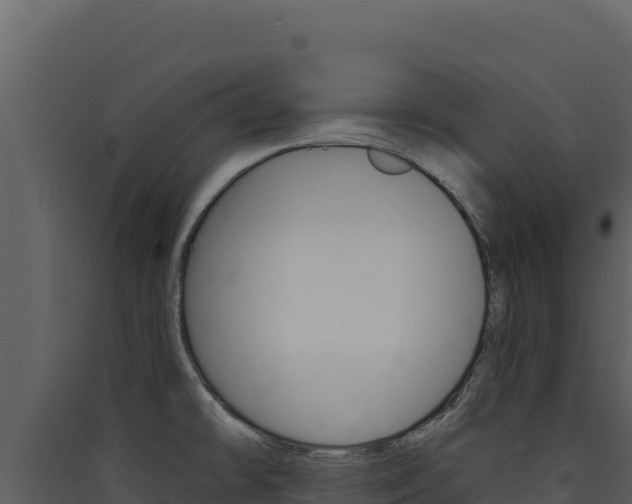 X0000090441478200707131019
