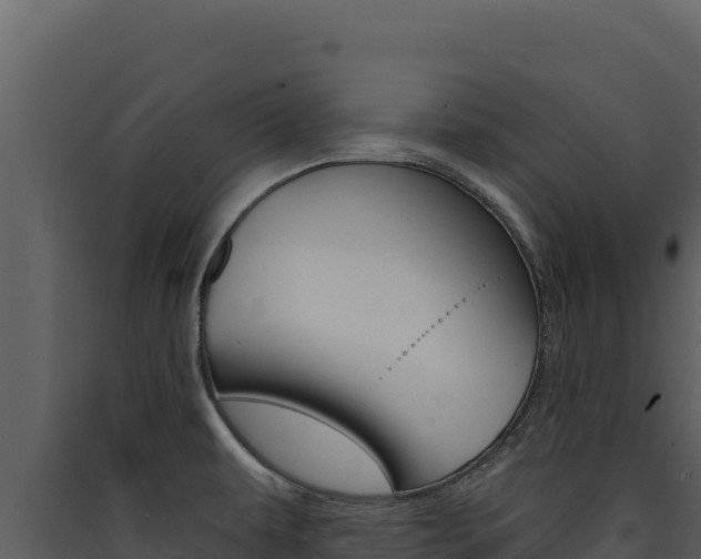 X0000090441479200707131019