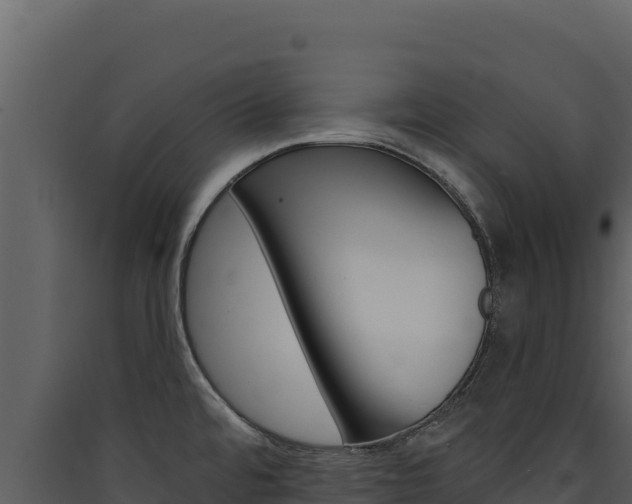 X0000090441480200707131019