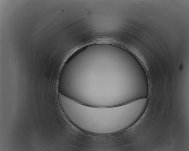 X0000090441481200707131019