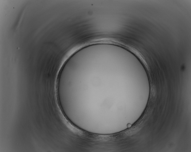 X0000090441482200707131019