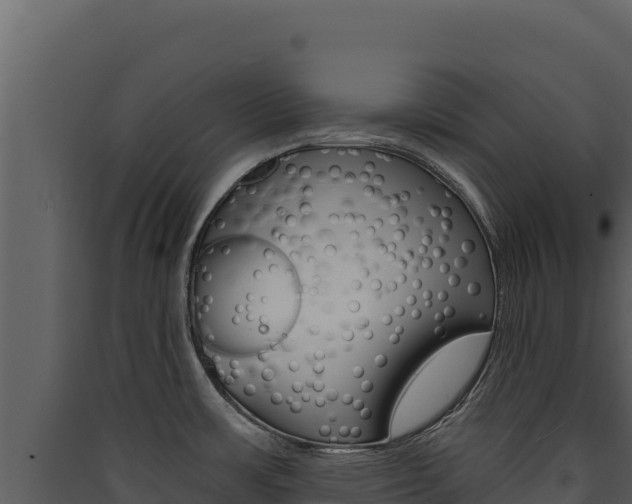 X0000090441483200707131019