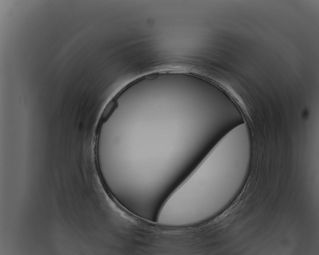 X0000090441484200707131019
