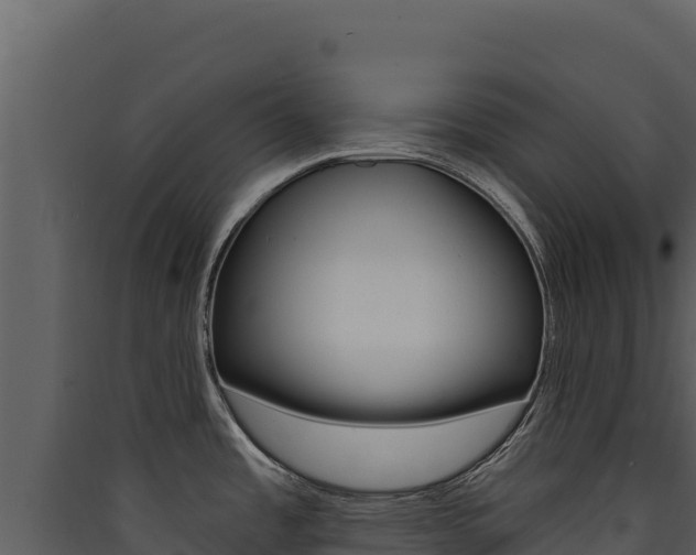 X0000090441485200707131019
